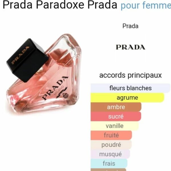 musee-du-parfum-cherche.info