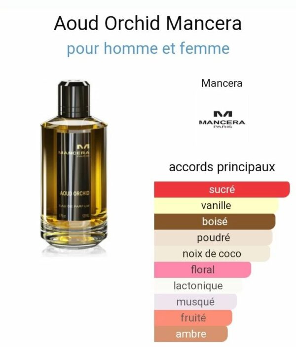 musee-du-parfum-cherche.info